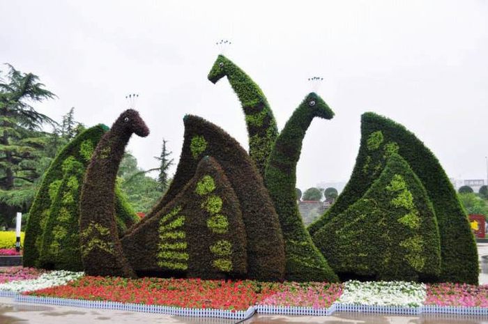 五色草造型
