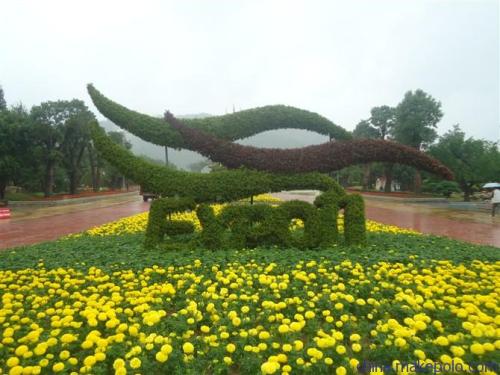 五色草造型