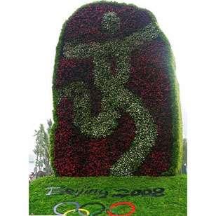 五色草造型