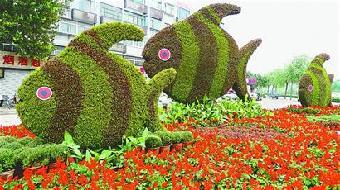 五色草造型