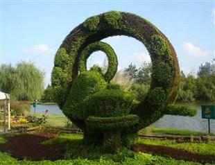 五色草造型